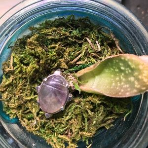 Sterling silver ring with fluorite